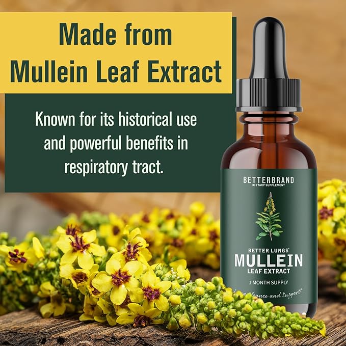 Mullein Leaf Extract