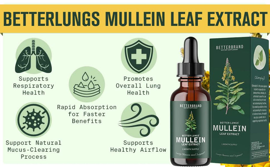Mullein Leaf Extract - Sccoti
